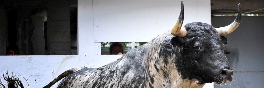 Paty 🇪🇸 banner