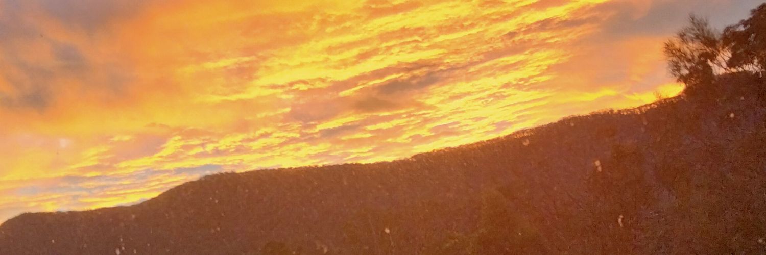 meikgam's profile banner image