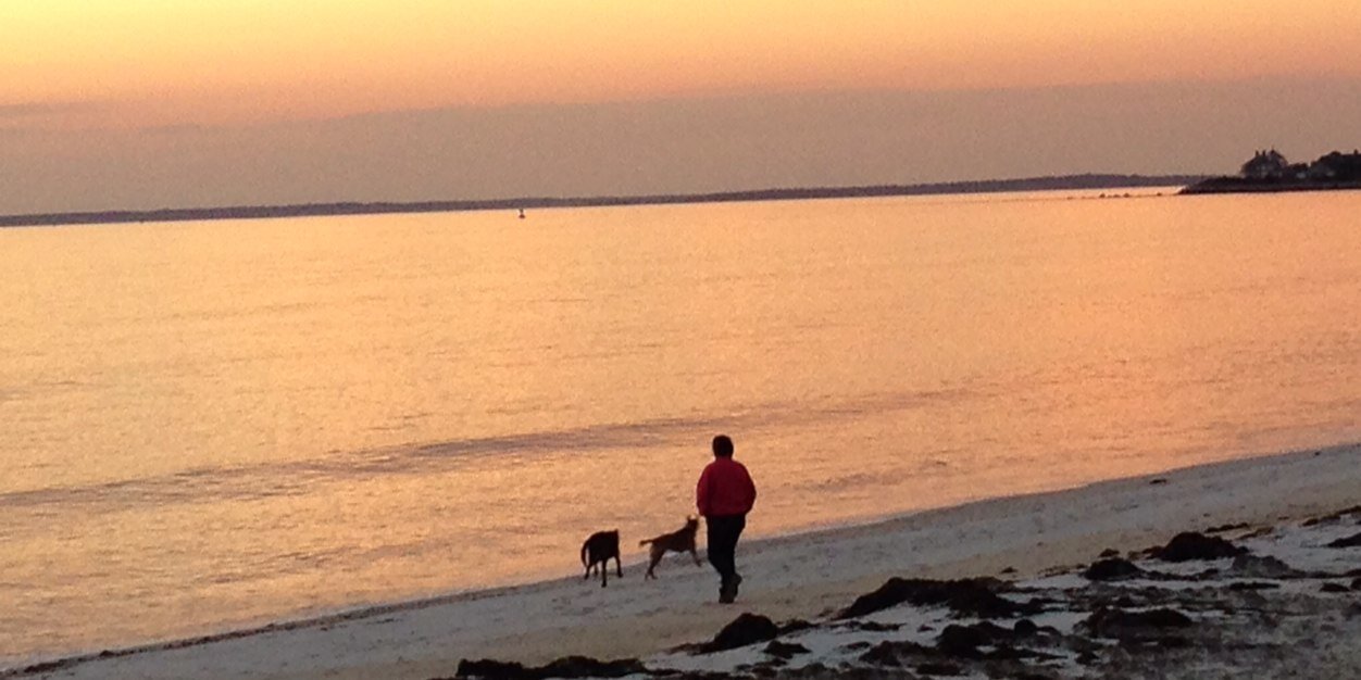 Adena Cohen-Bearak banner