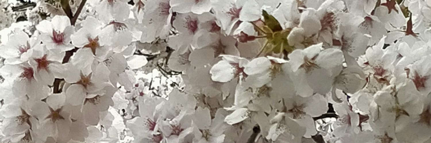 感染症対策推奨派's banner