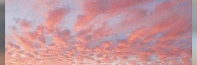 moichadri's profile banner image