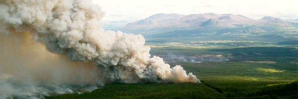 CWFIS Profile Banner