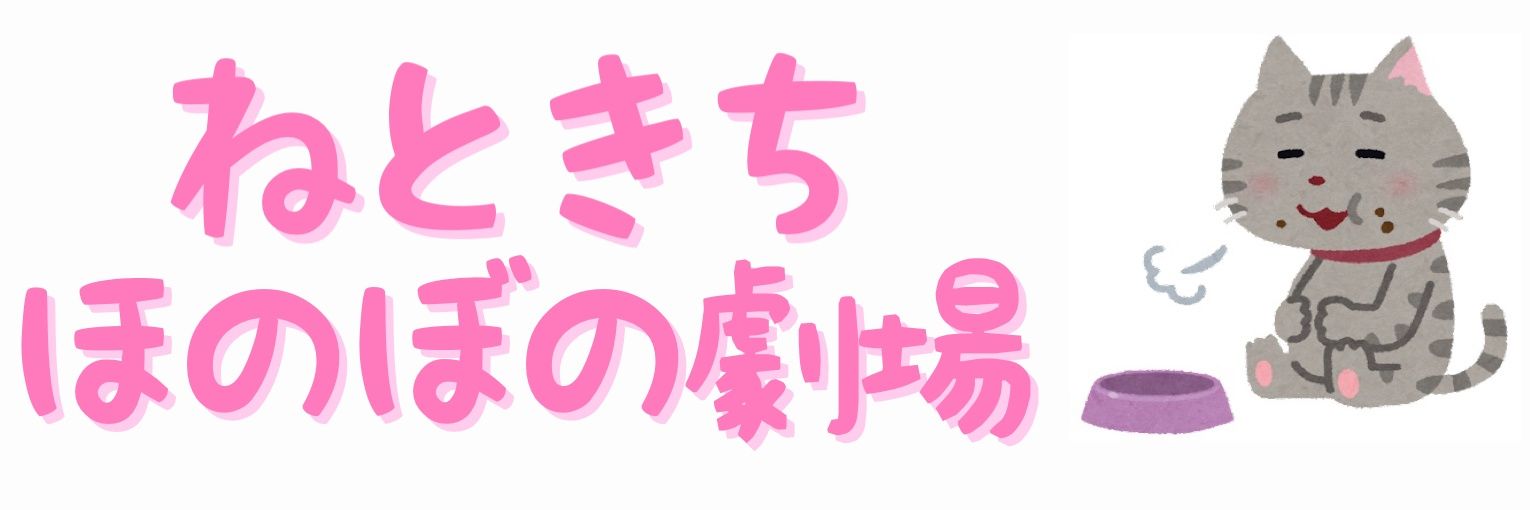 ねときち🐱そこそこ大食い banner