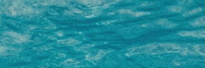 Lolofucks banner