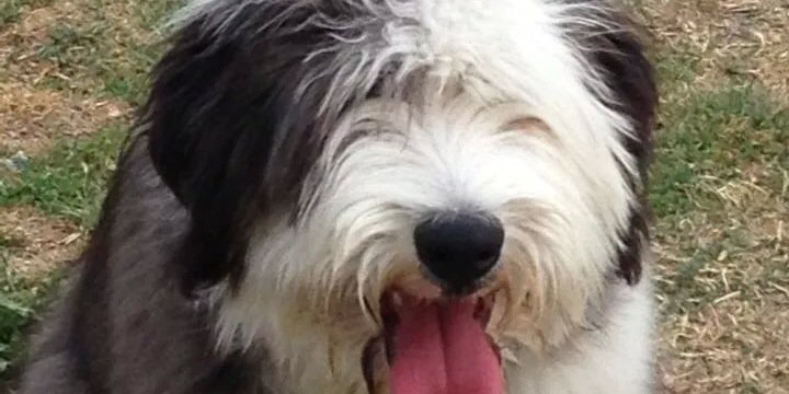 Esther186's profile banner image