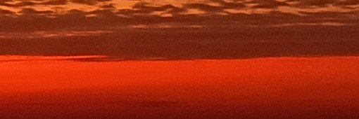 Maison〽️🐒 banner