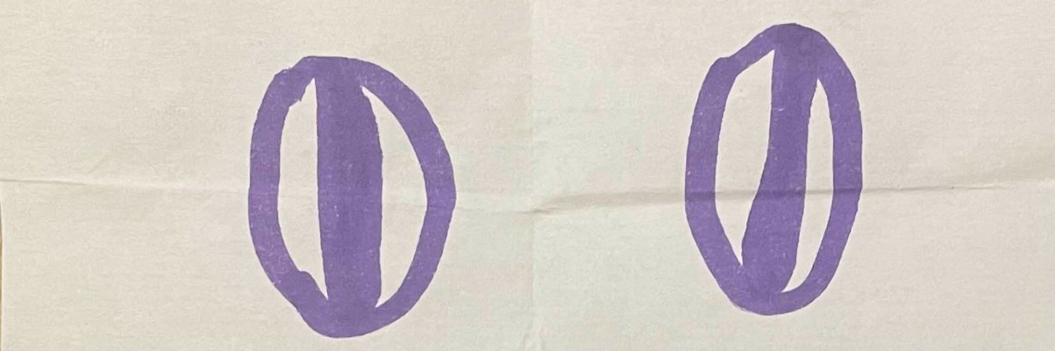 sei banner