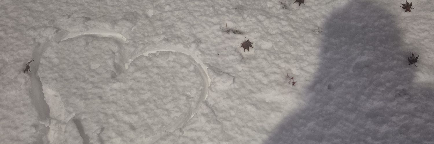 ziee ☆ jasa lelang banner