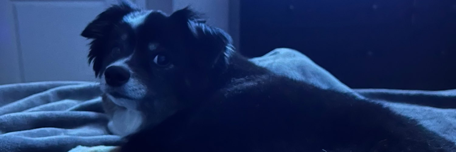 _xDarlings's profile banner image