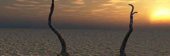 junkbot's profile banner image