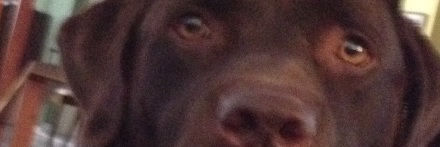 vhernandezdmd's profile banner image