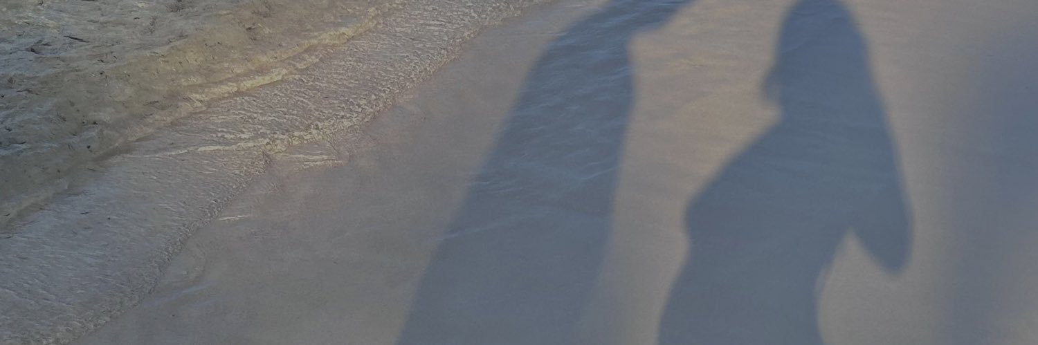 Cingaleno's profile banner image