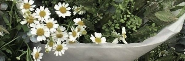 alun³ —fsr ke wa yh banner