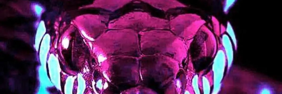 Misu Simionescu banner