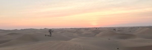 lorena_becerra Profile Banner