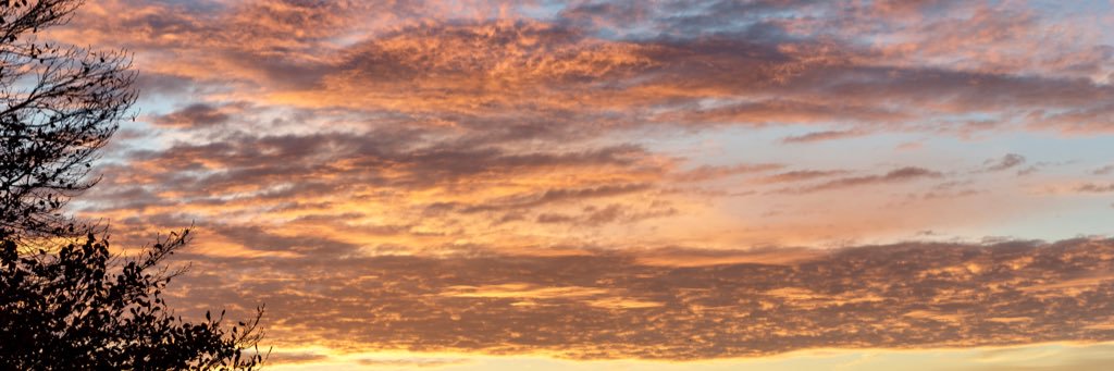 soenkenils's profile banner image