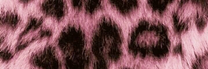 Godess Isabella 🐆 banner