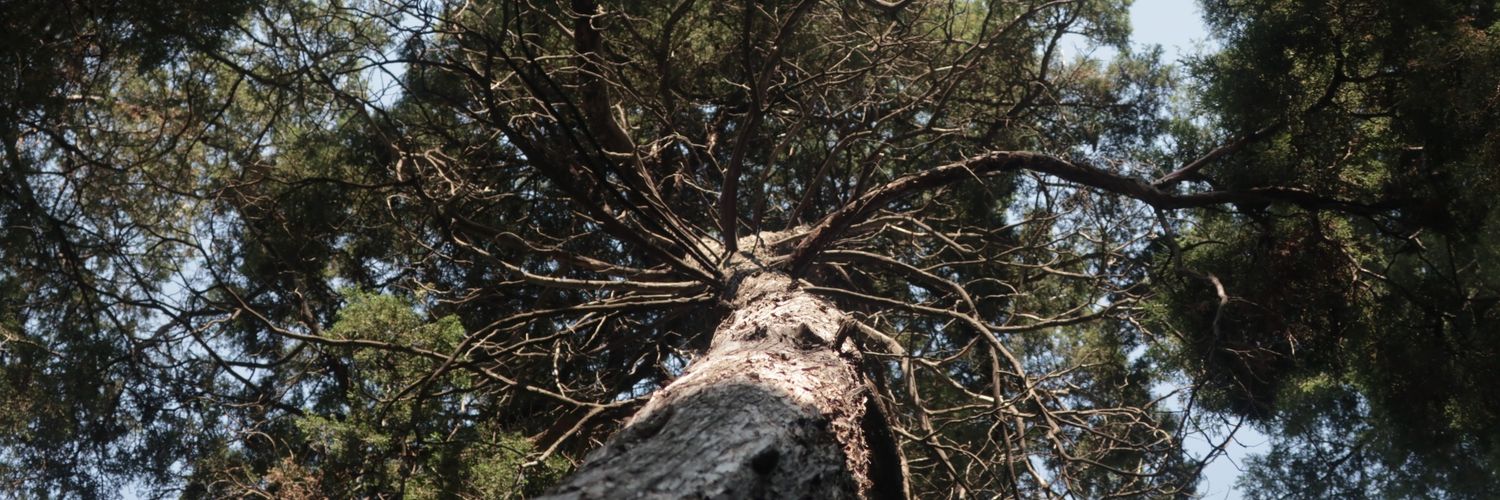 JimenaOnEarth's profile banner image