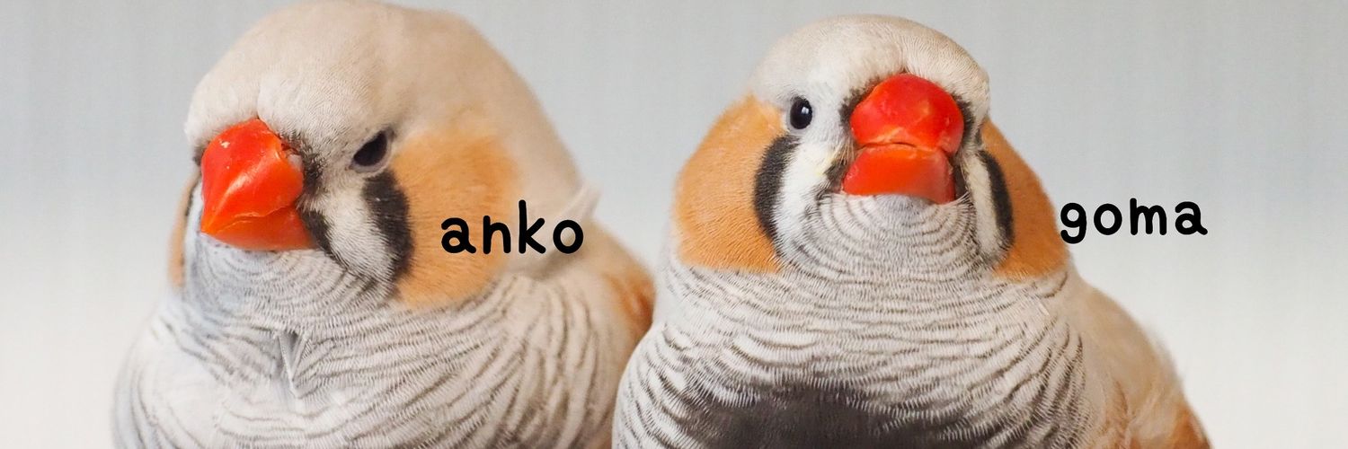 ごま と あんこ さし餌中🍼's banner