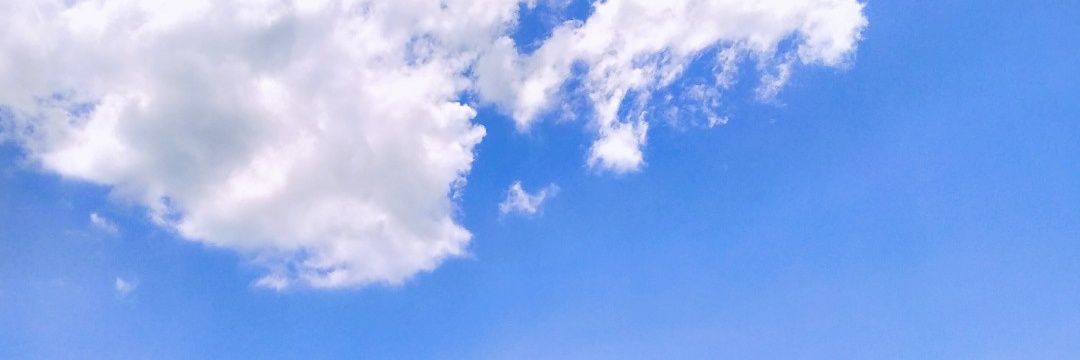 haruzion08's profile banner image