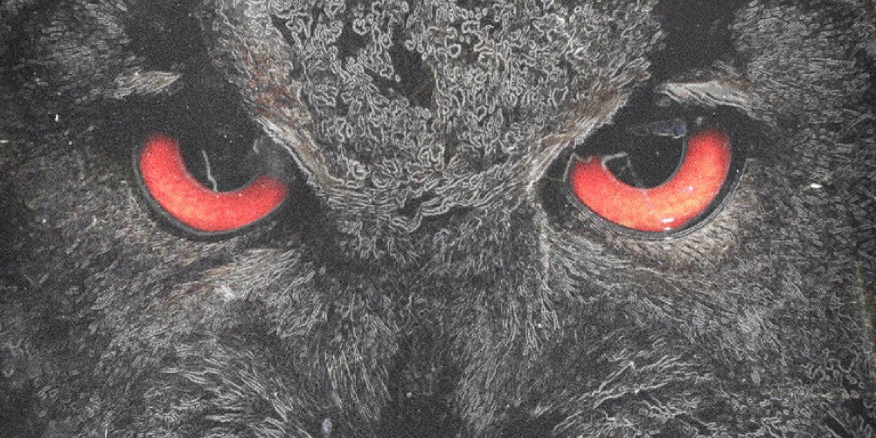 Rebelxm's profile banner image