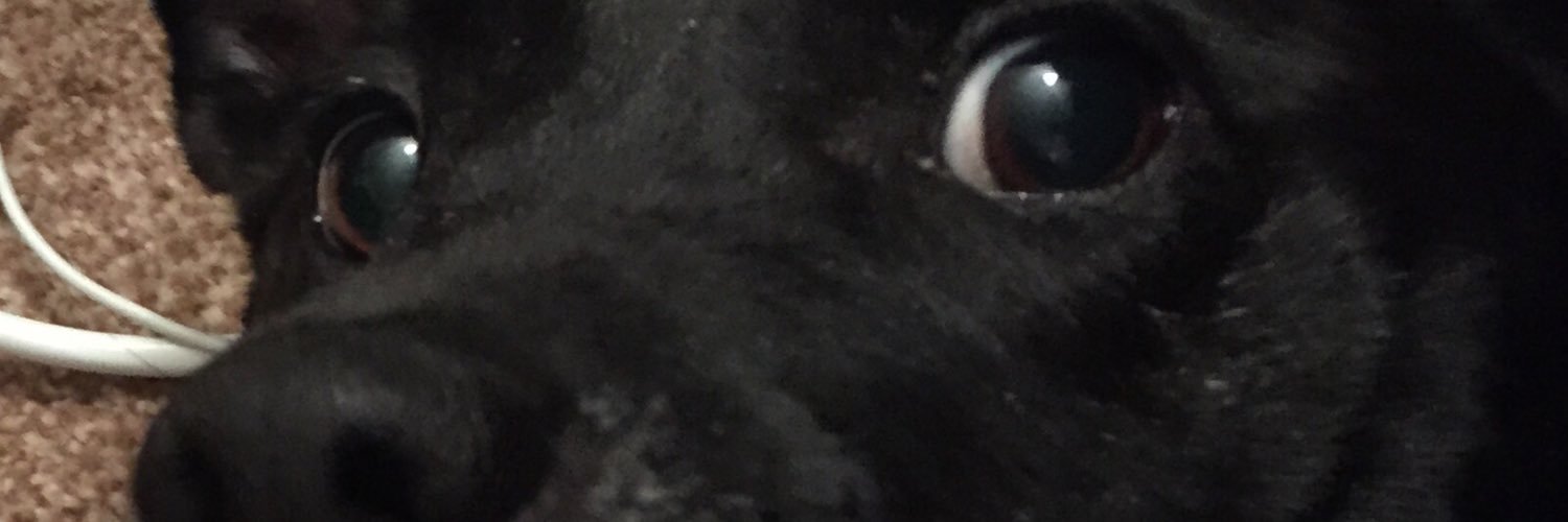 Carl O'Malley banner