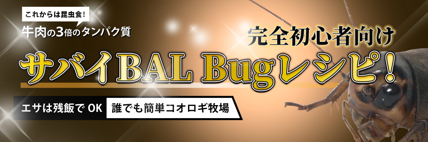 BAL banner