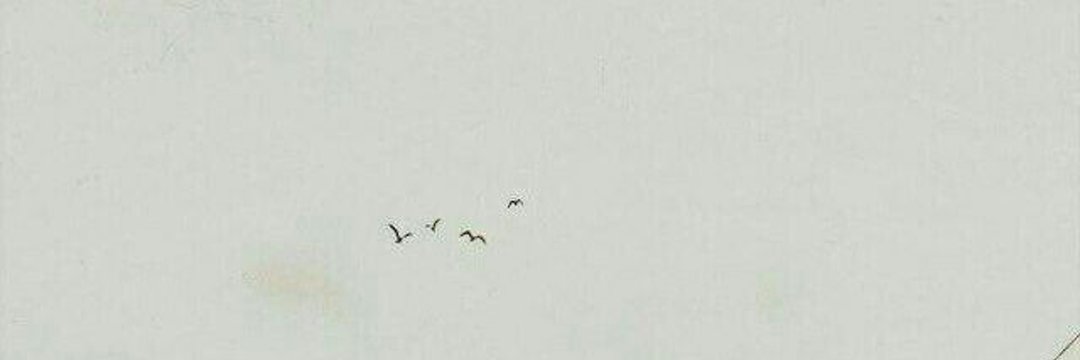 هدیٰ حسین زاده 🍃(مسافر)'s banner