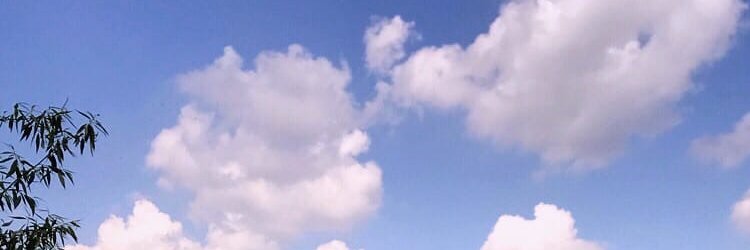 Sarah Edwards banner