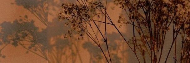 Ubiii & Upiii banner