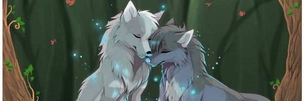 Chicol banner