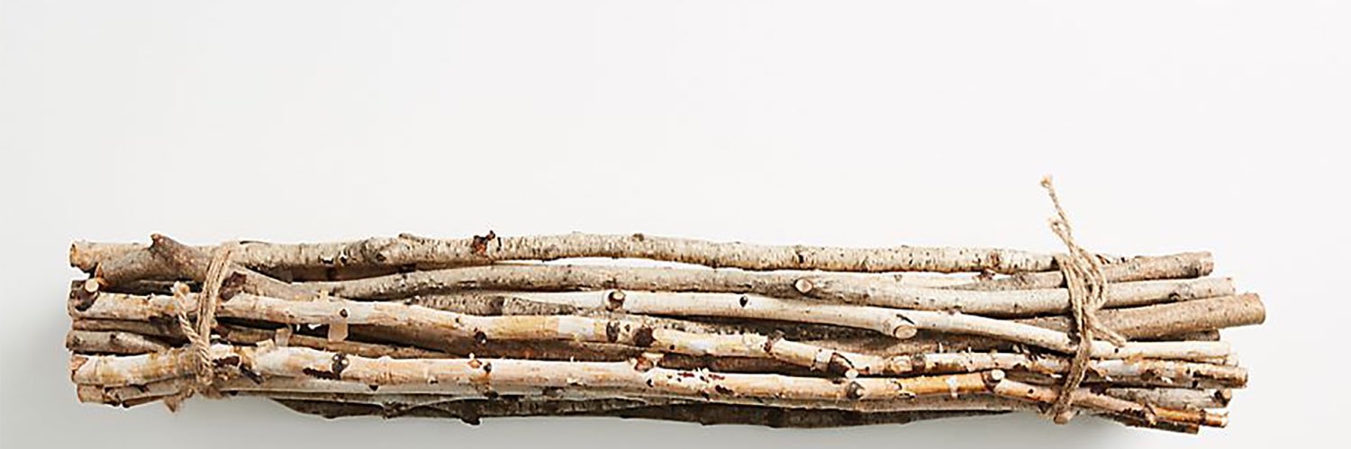 Beefcannonbart banner