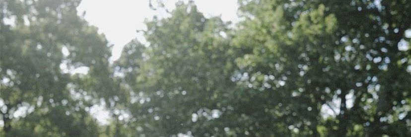 kinaasava's profile banner image