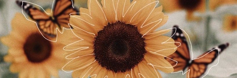 Melissa Allen🌻 banner