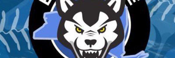 CamdynWils3 Profile Banner
