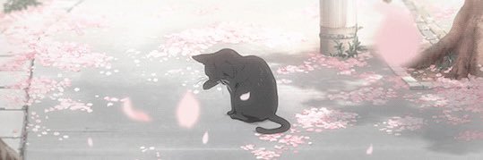 gxravitynn's profile banner image
