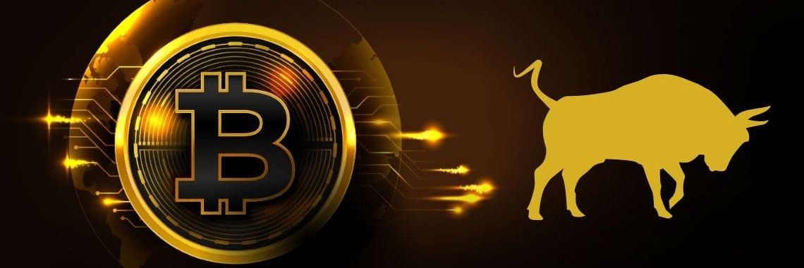 shapete banner