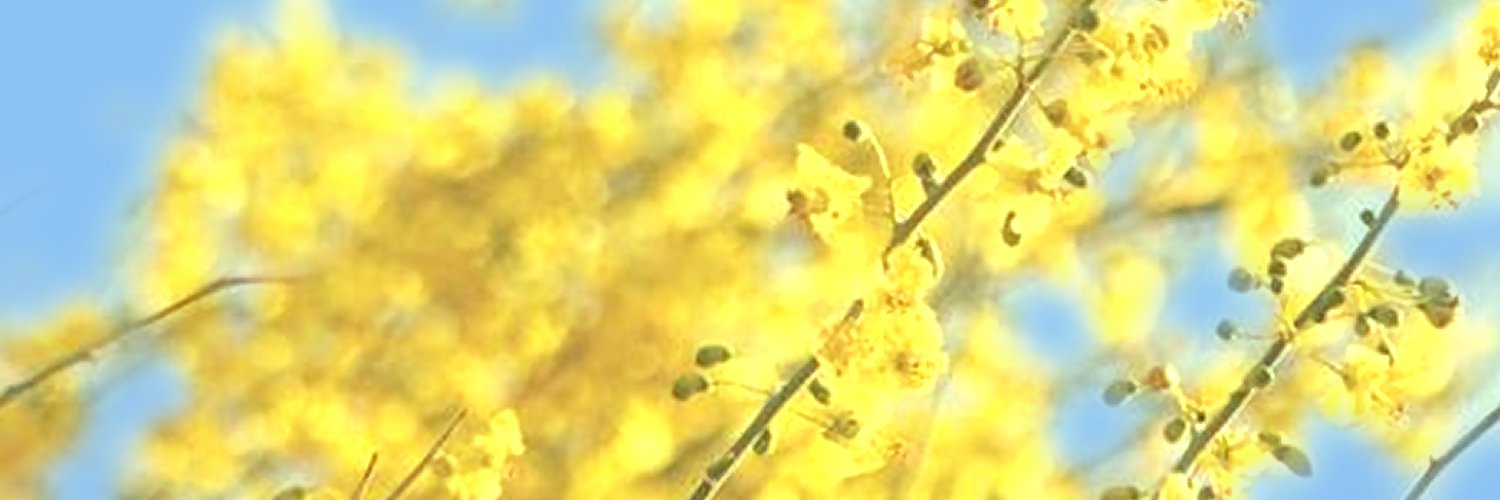 sunny🌻 commissions open! banner