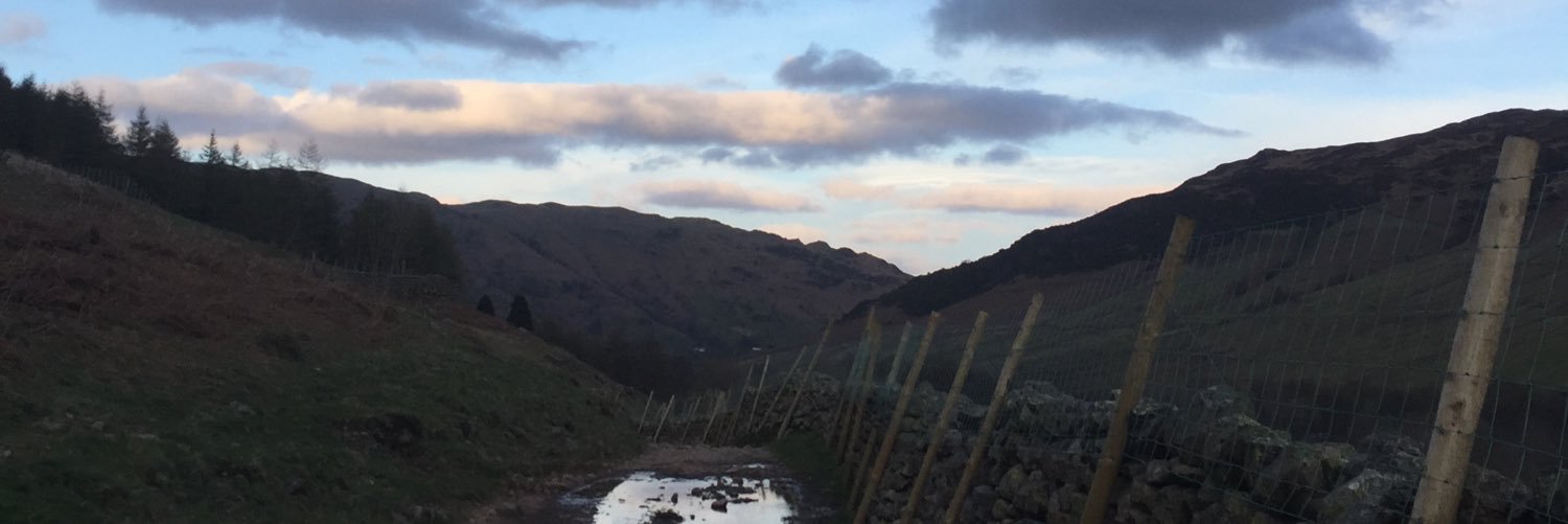 EmsRalphs's profile banner image