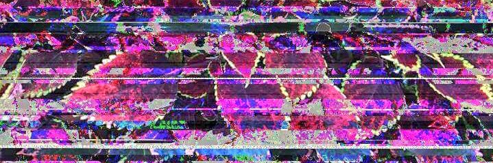 SeedyROM's profile banner image