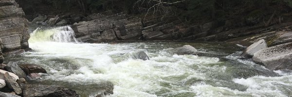 ShayTotten Profile Banner