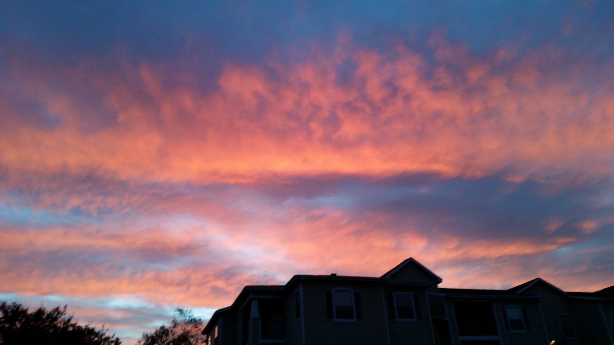 Susan_Sloate's profile banner image