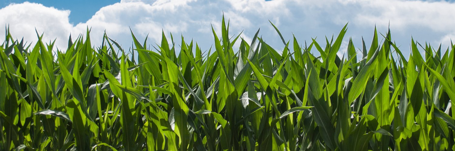 Joel Riethmiller banner