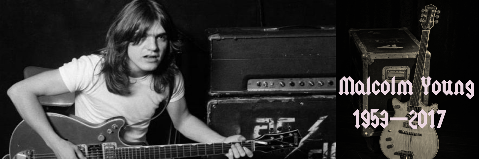 The Metal Ninja banner