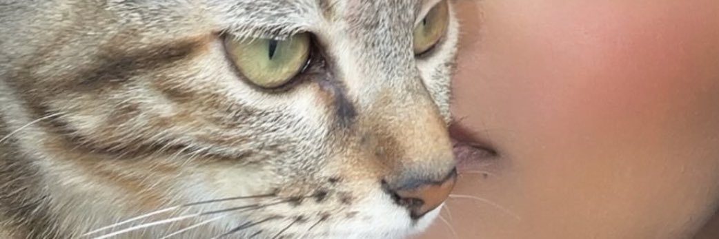 manulopesx_'s profile banner image