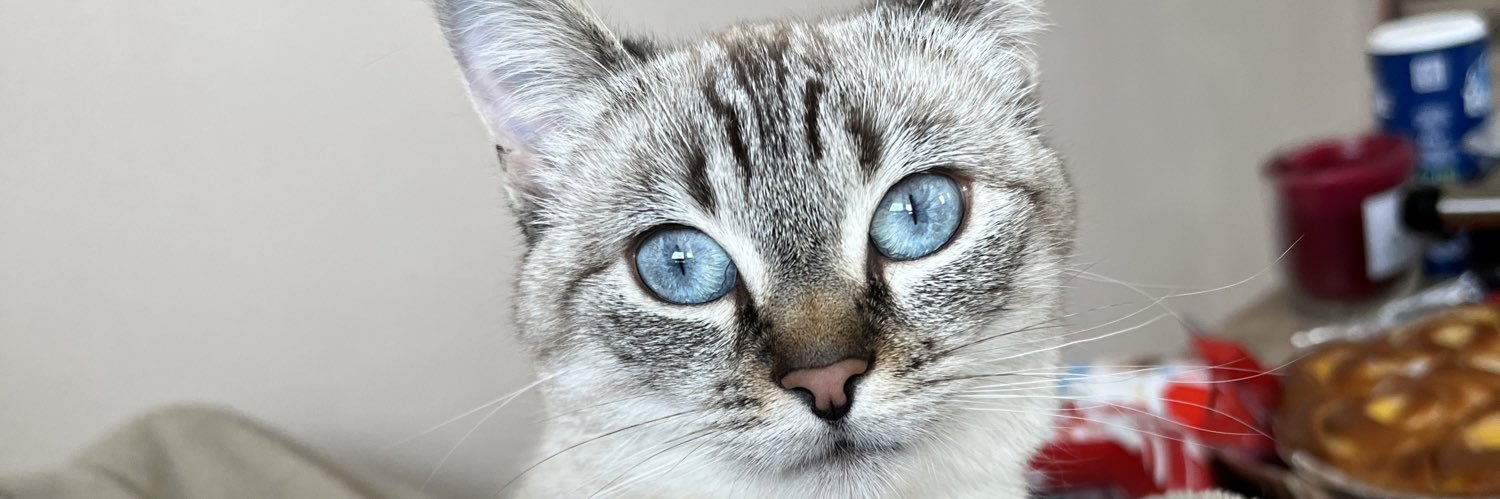 ChloePeze's profile banner image