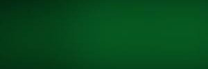 nftiscam banner