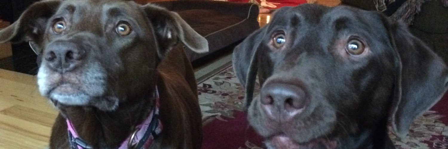 Dr. Alicia Clevenger banner