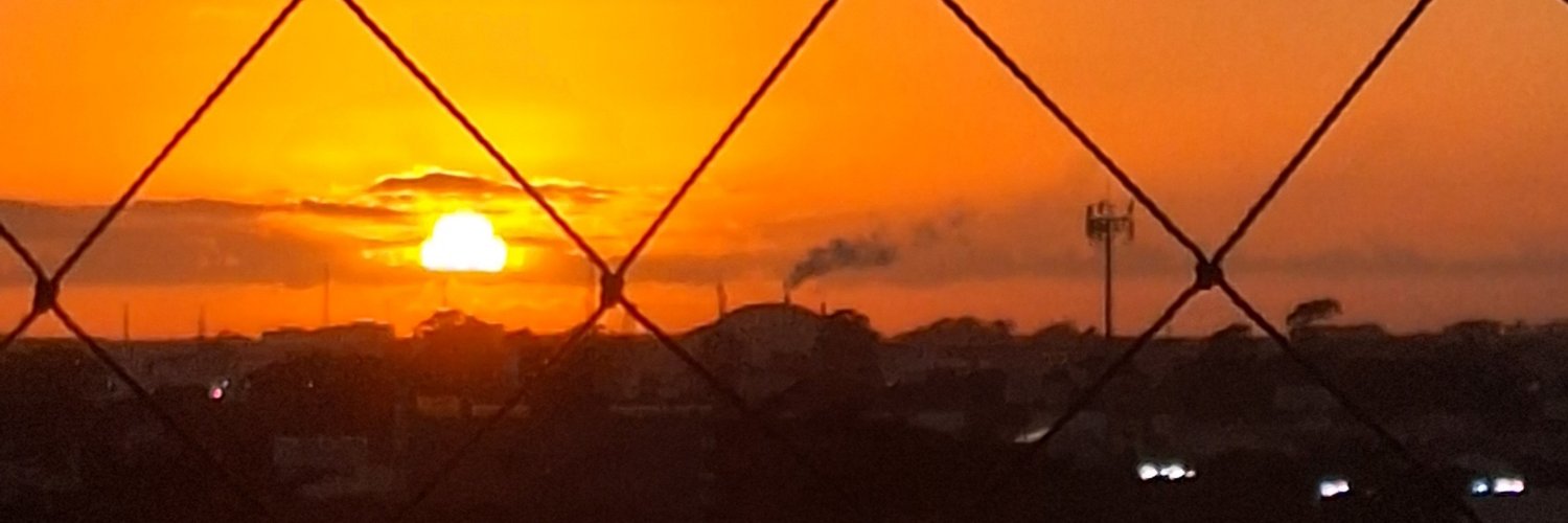 wagnerfp's profile banner image