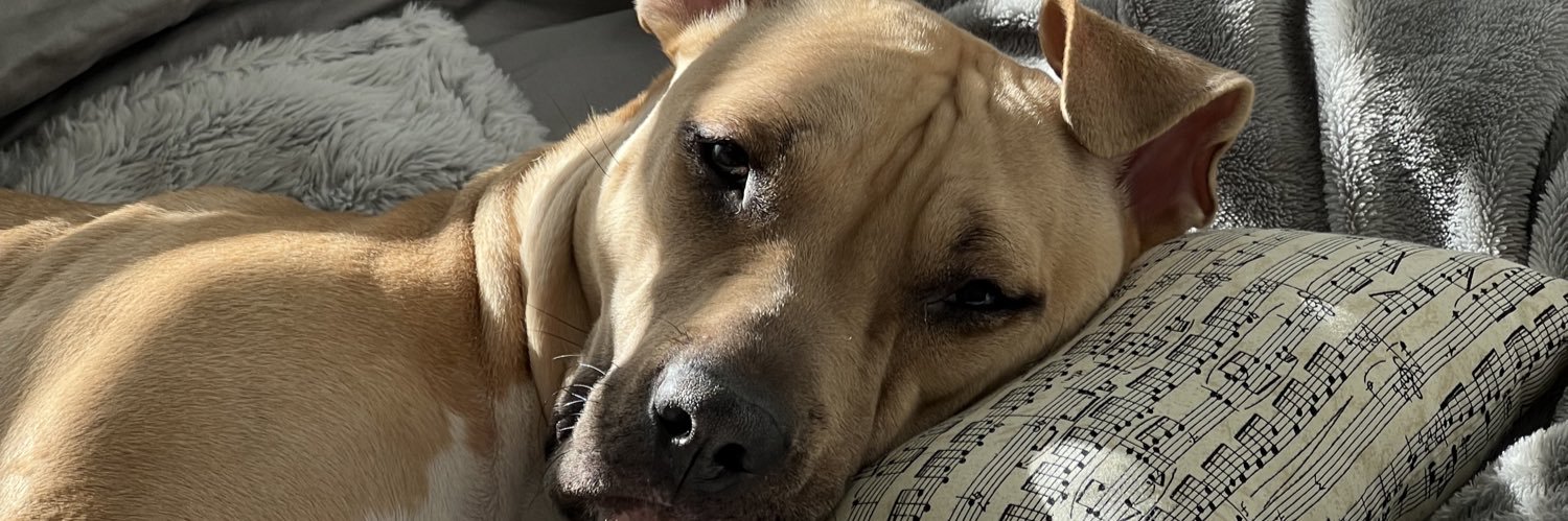 maryrodriguez__'s profile banner image